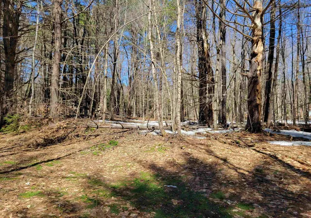 Homes for sale in Woodstock, NH | Map 105 Lot 20 Lost River Rd, Woodstock, NH 03262 | MLS# 5098035