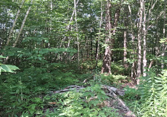5th image of 0000 Ballground Rd, Westfield, VT 05874 | MLS# 5098064