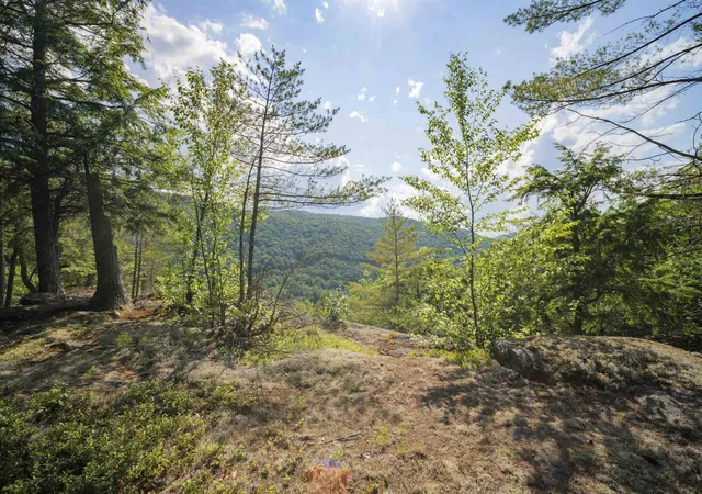 Homes for sale in Jamaica, VT | 00 Howe Farm Rd, Jamaica, VT 05343 | MLS# 5098094