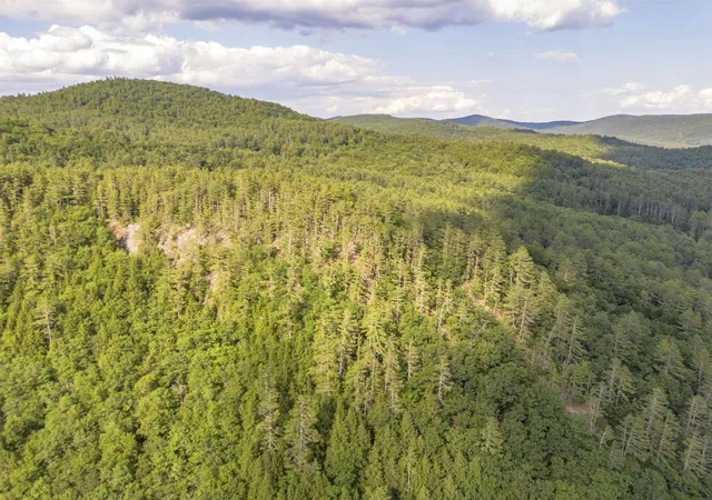 Homes for sale in Jamaica, VT | 00 Howe Farm Rd, Jamaica, VT 05343 | MLS# 5098094