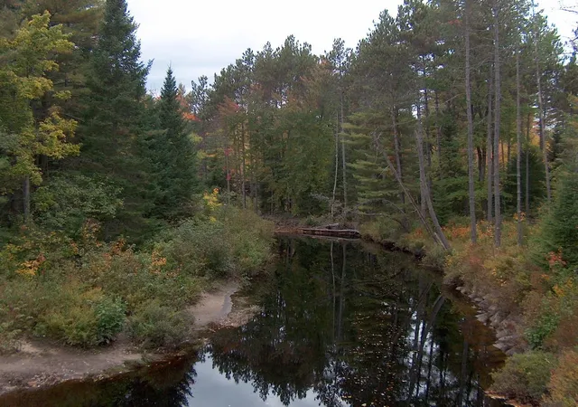 45th image of 258 Pine River Rd, Effingham, NH 03882 | MLS# 5098106