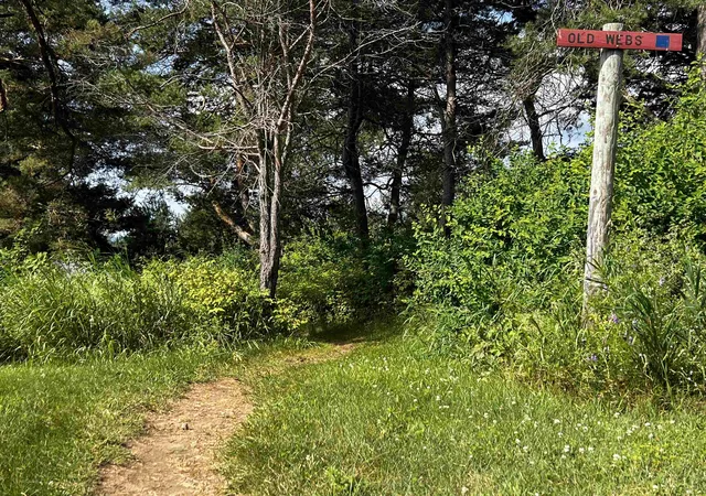 5th image of 0000 Darling Hill Rd, Lyndon, VT 05849 | MLS# 5098120