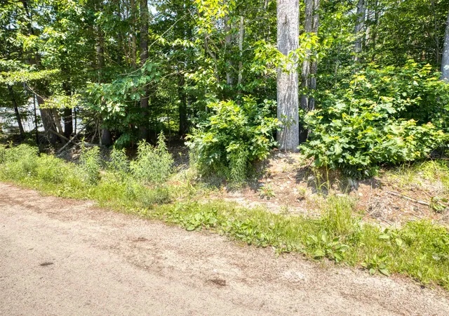 1st image of 0 Pike Ln, Tamworth, NH 03886 | MLS# 5098127