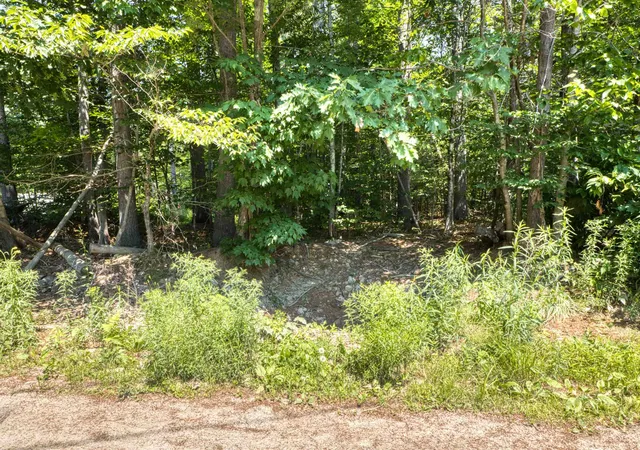 2nd image of 0 Pike Ln, Tamworth, NH 03886 | MLS# 5098127