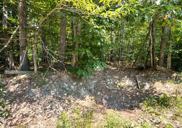 3rd image of 0 Pike Ln, Tamworth, NH 03886 | MLS# 5098127