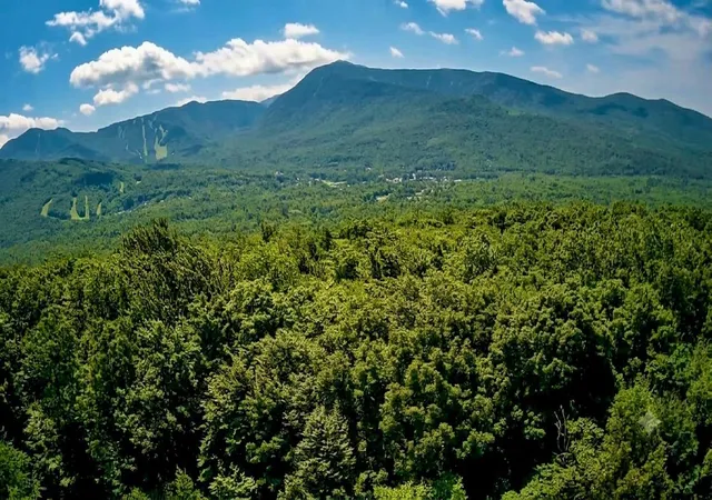 2nd image of 0 Sweeney Ln, Cambridge, VT 05464 | MLS# 5098153