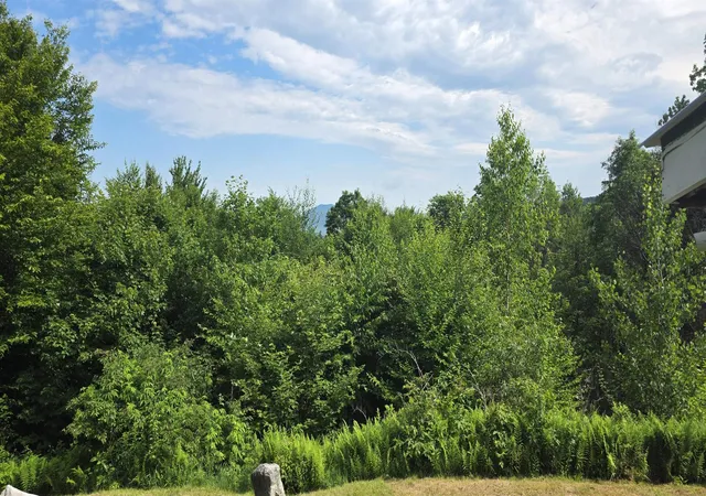 Homes for sale in Groton, NH | 11 Ocean View Blvd, Groton, NH 03241 | MLS# 5098175