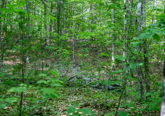 Photo 3 of Land for sale at Lot 41 Tommy Lot Rd, Moultonborough, NH 03254 | MLS# 5098180 | Listing updated on 2026-07-05