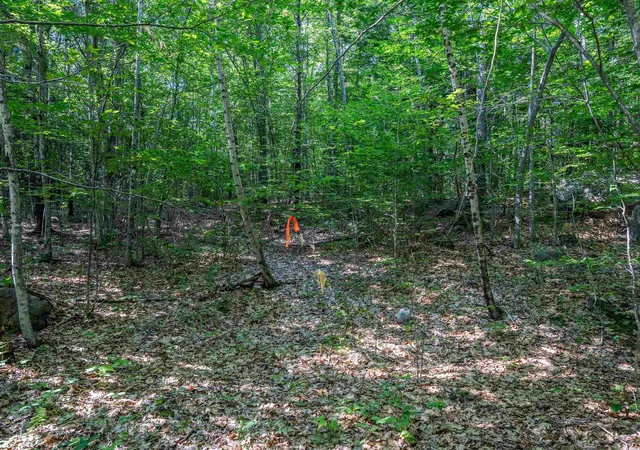 Photo 3 of Land for sale at Lot 41 Tommy Lot Rd, Moultonborough, NH 03254 | MLS# 5098180 | Listing updated on 2026-07-05