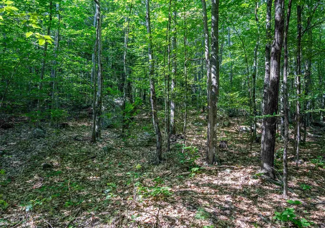 Photo 4 of Land for sale at Lot 41 Tommy Lot Rd, Moultonborough, NH 03254 | MLS# 5098180 | Listing updated on 2026-07-05