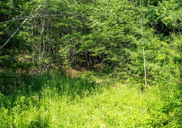 Land for sale at Lot 4.2 Tommy Lot Rd, Moultonborough, NH 03254 | MLS# 5098181