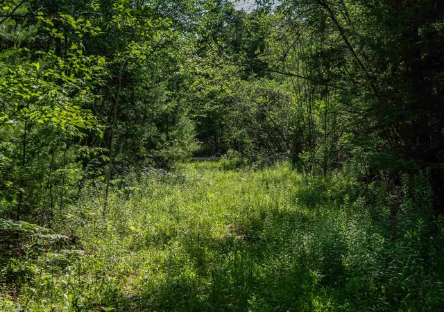 Photo 3 of Land for sale at Lot 42 Tommy Lot Rd, Moultonborough, NH 03254 | MLS# 5098181 | Listing updated on 2026-07-05
