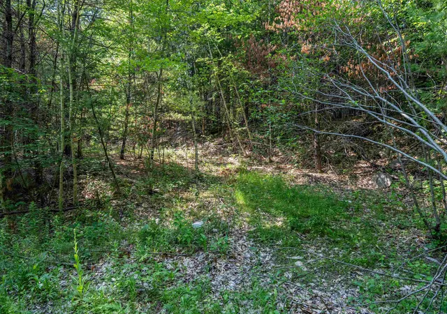 Photo 3 of Land for sale at Lot 42 Tommy Lot Rd, Moultonborough, NH 03254 | MLS# 5098181 | Listing updated on 2026-07-05