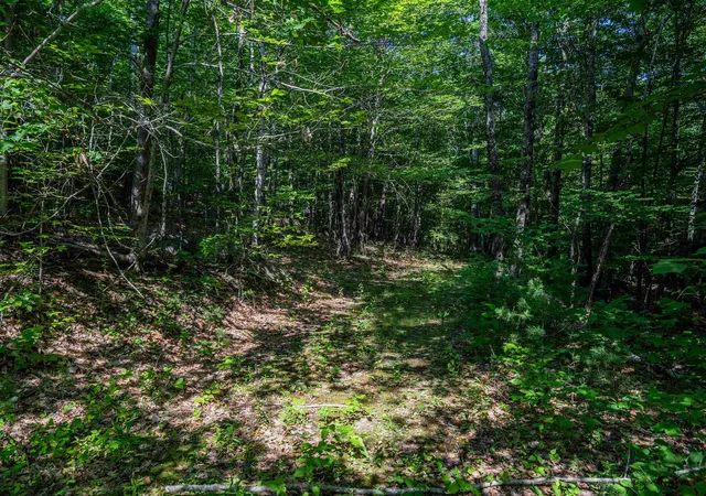 Photo 4 of Land for sale at Lot 42 Tommy Lot Rd, Moultonborough, NH 03254 | MLS# 5098181 | Listing updated on 2026-07-05