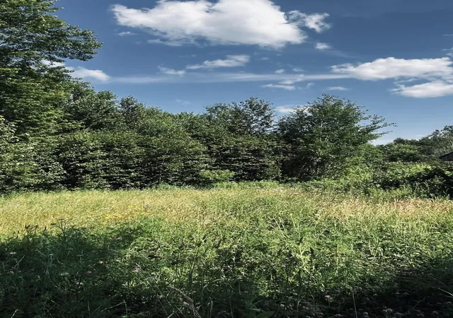 Photo 1 of Sale Pending at 186 Pine St, North Troy, VT 05859 | MLS# 5098205 | Listing updated on 2026-09-01