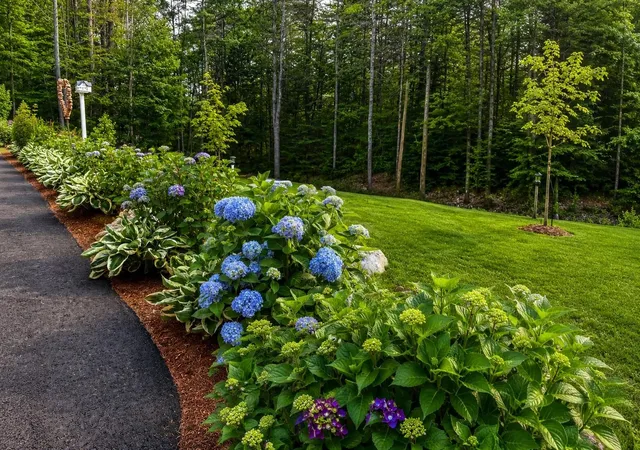 Homes for sale in Alton, NH | 4 Dan Kelley Dr, Alton, NH 03810 | MLS# 5098228