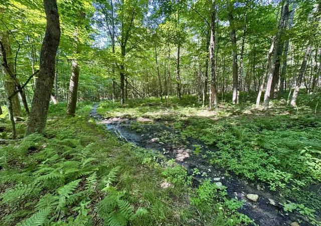 Homes for sale in Bath, NH | 00 Mountain Rd, Bath, NH 03740 | MLS# 5098246