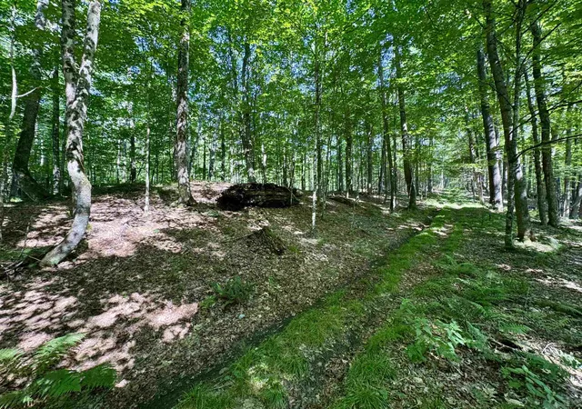 Homes for sale in Bath, NH | 00 Mountain Rd, Bath, NH 03740 | MLS# 5098246