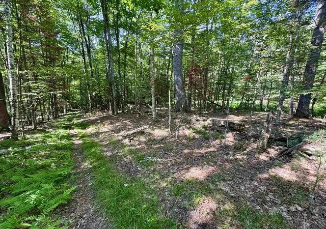 Homes for sale in Bath, NH | 00 Mountain Rd, Bath, NH 03740 | MLS# 5098246