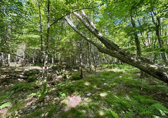 Homes for sale in Bath, NH | 00 Mountain Rd, Bath, NH 03740 | MLS# 5098246