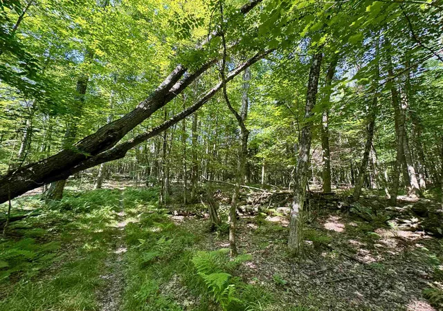 Homes for sale in Bath, NH | 00 Mountain Rd, Bath, NH 03740 | MLS# 5098246