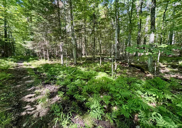 Homes for sale in Bath, NH | 00 Mountain Rd, Bath, NH 03740 | MLS# 5098246