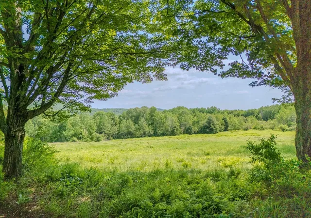 Homes for sale in Halifax, VT | 442 Josh Rd, Halifax, VT 05358 | MLS# 5098252