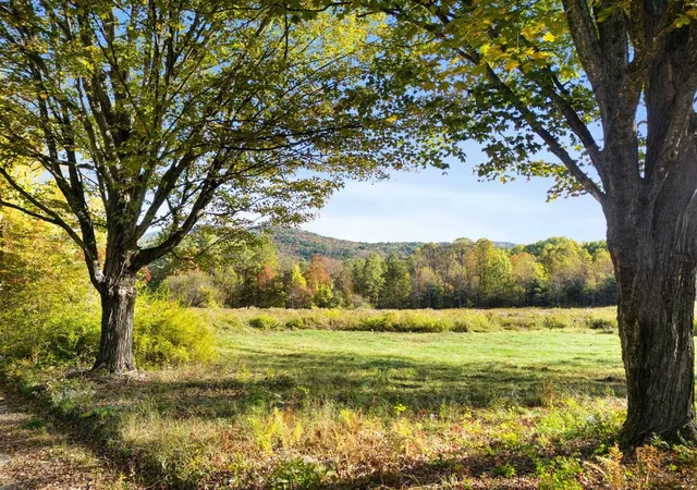 Homes for sale in Halifax, VT | 442 Josh Rd, Halifax, VT 05358 | MLS# 5098252