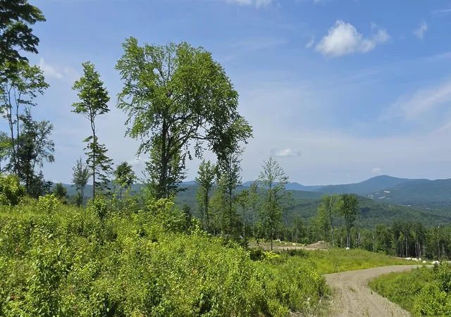 Homes for sale in Errol, NH | Map R6 Lot 1c Deer Crossing Wy, Errol, NH 03579 | MLS# 5098275