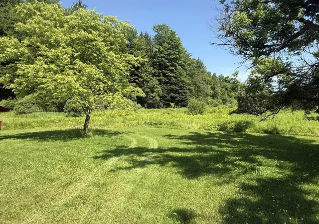 Homes for sale in Woodbury, VT | 7657 Vt Rt 14, Woodbury, VT 05681 | MLS# 5098282