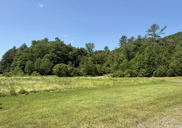 Homes for sale in Woodbury, VT | 7657 Vt Rt 14, Woodbury, VT 05681 | MLS# 5098282