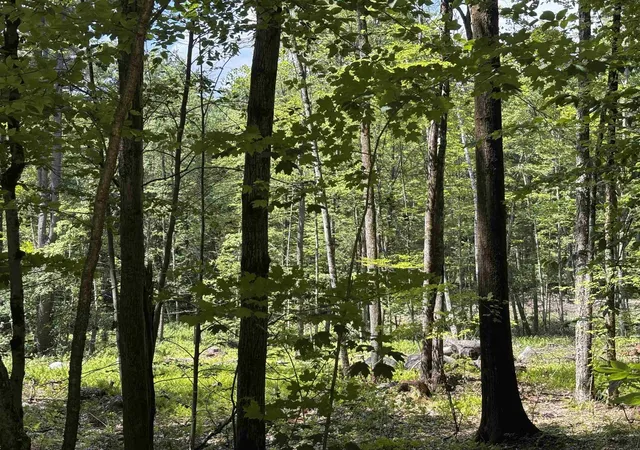 15th image of Lot 1&2 Tower Hill Rd, Hinsdale, NH 03451 | MLS# 5098295