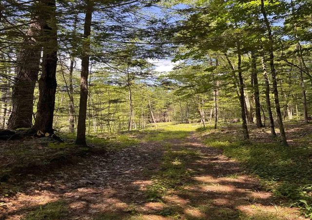 2nd image of Lot 1&2 Tower Hill Rd, Hinsdale, NH 03451 | MLS# 5098295