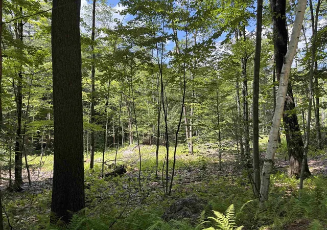 3rd image of Lot 1&2 Tower Hill Rd, Hinsdale, NH 03451 | MLS# 5098295