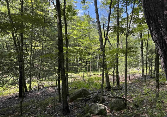 4th image of Lot 1&2 Tower Hill Rd, Hinsdale, NH 03451 | MLS# 5098295
