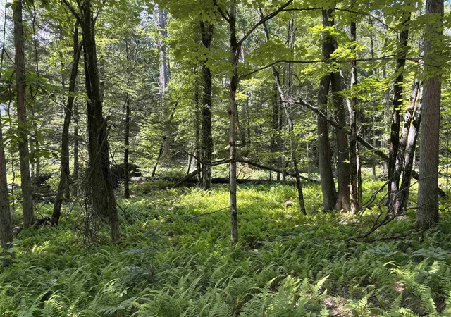 5th image of Lot 1&2 Tower Hill Rd, Hinsdale, NH 03451 | MLS# 5098295