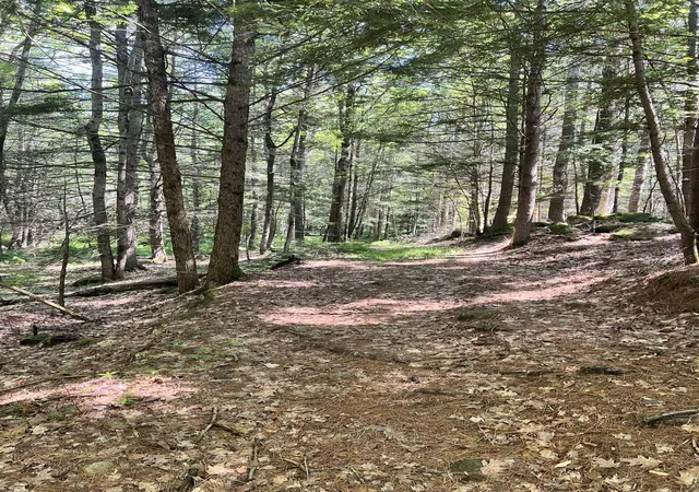 Homes for sale in Winchendon, MA | Map 2 Lot 94 School St, Winchendon, MA 01475 | MLS# 5098304
