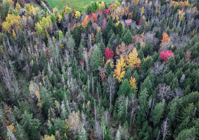 1st image of 1021 Woods S Rd, Warren, VT 05674 | MLS# 5098316