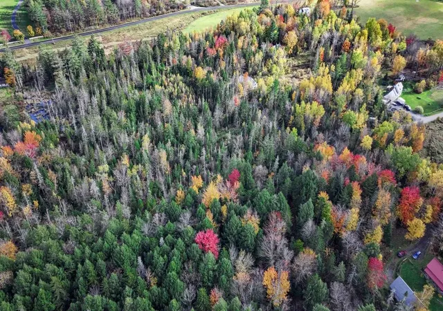 5th image of 1021 Woods S Rd, Warren, VT 05674 | MLS# 5098316