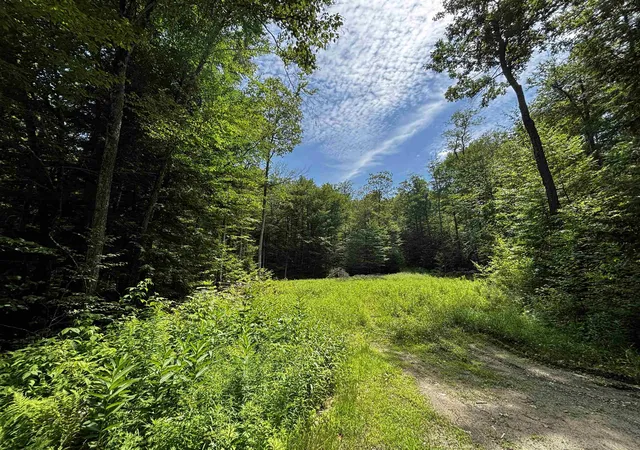 Homes for sale in Chester, VT | 00 Quarry Rd, Chester, VT 01543 | MLS# 5098347