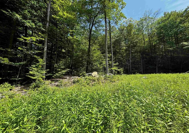 Homes for sale in Chester, VT | 00 Quarry Rd, Chester, VT 01543 | MLS# 5098347
