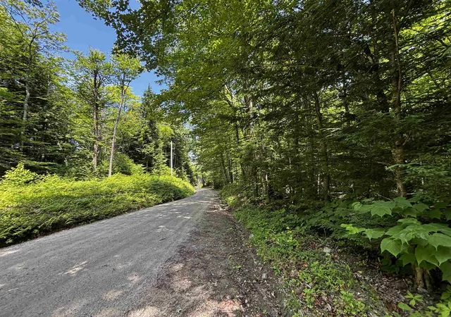 Homes for sale in Chester, VT | 00 Quarry Rd, Chester, VT 01543 | MLS# 5098347