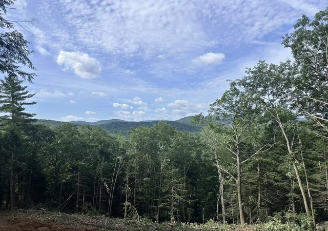 Photo 3 of Land for sale at 00 Quarry Rd, Chester, VT 05143 | MLS# 5098347 | Listing updated on 2026-08-21