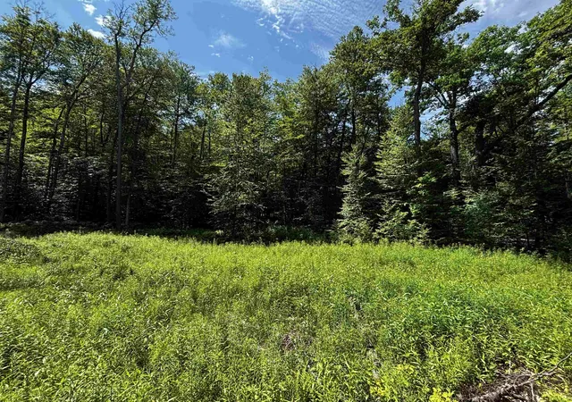Homes for sale in Chester, VT | 00 Quarry Rd, Chester, VT 01543 | MLS# 5098347