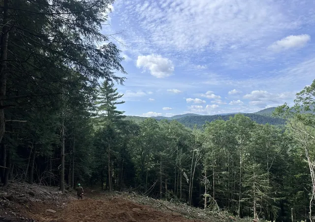 Photo 3 of Land for sale at 00 Quarry Rd, Chester, VT 05143 | MLS# 5098347 | Listing updated on 2026-08-21