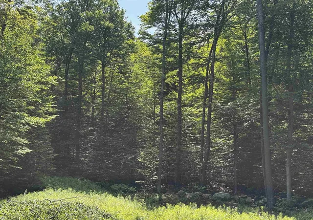 Homes for sale in Chester, VT | 00 Quarry Rd, Chester, VT 01543 | MLS# 5098347