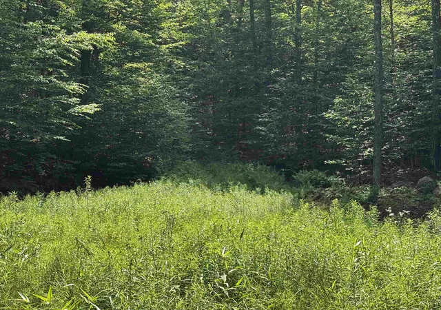 Homes for sale in Chester, VT | 00 Quarry Rd, Chester, VT 01543 | MLS# 5098347