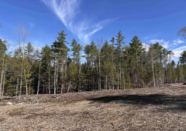 Homes for sale in Richmond, NH | L:64 & 65 Old Turnpike Rd, Richmond, NH 03470 | MLS# 5098541