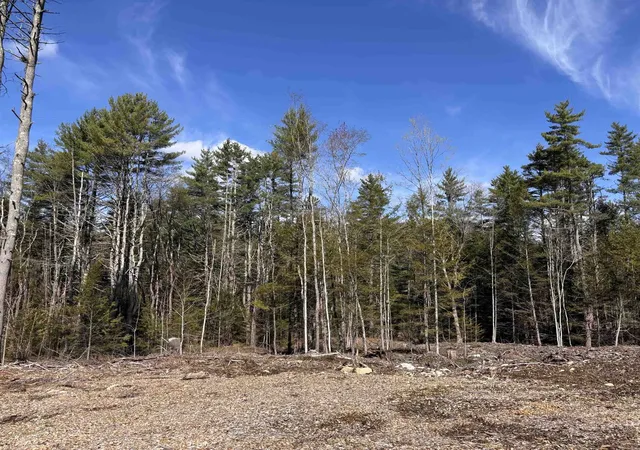 Homes for sale in Richmond, NH | L:64 & 65 Old Turnpike Rd, Richmond, NH 03470 | MLS# 5098541