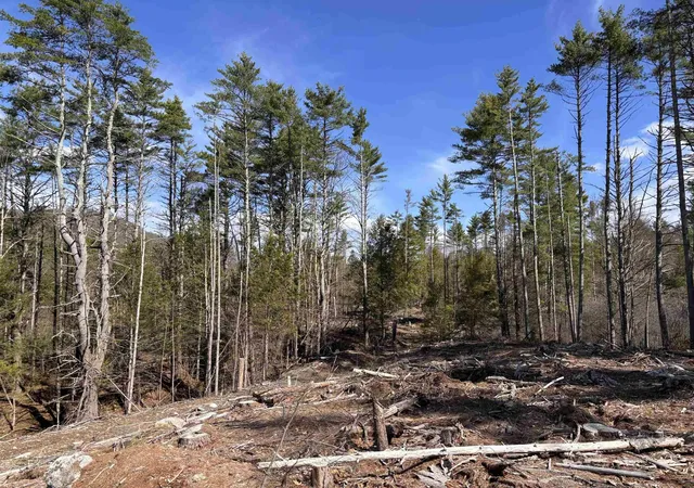 Homes for sale in Richmond, NH | L:64 & 65 Old Turnpike Rd, Richmond, NH 03470 | MLS# 5098541